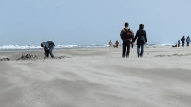 Tourismus in Niedersachsen: gute Zahlen aber schlechte Stimmung im Gastgewerbe