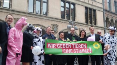 Die Grünen verbeugen sich vor der SPD