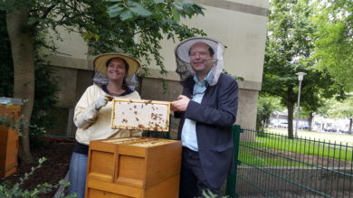 Meyer investiert mehr als 11 Millionen Euro in den Schutz von Bienen
