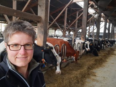Landwirte befürchten, dass Hofschlachtungen weniger dem Tierwohl als der Vermarktung nützen