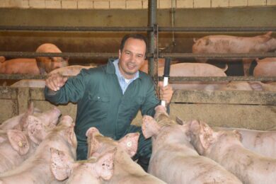 Landwirte sind in Sorge wegen des „Mercosur“-Abkommens
