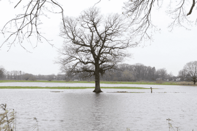 LBEG meldet Entspannung bei Grundwasserständen in Niedersachsen