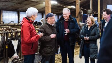 Wie die Politik auf die Proteste und Forderungen der Landwirte reagiert