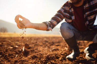 Landwirte beklagen eine unterdurchschnittliche Ernte
