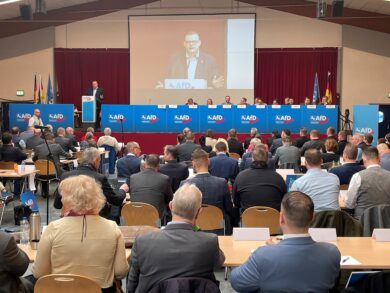 Effizienter und schneller? Nicht alle in der AfD wollen der Linie des Landesvorstands folgen