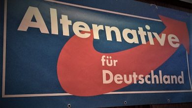 Verfassungsschutz warnt vor AfD: Werden radikale Abgeordnete überwacht?