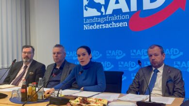 AfD: „Keine Partei von Krawallbrüdern“