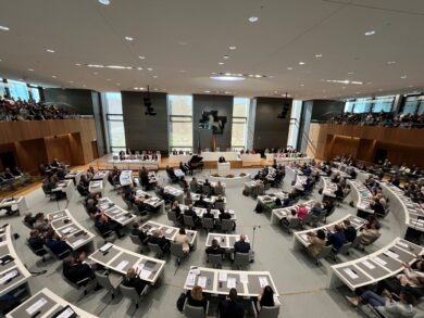 „Ordnungsgeld“ soll Politiker disziplinieren