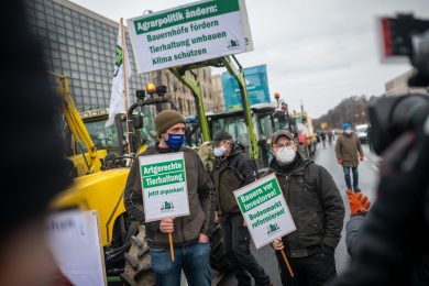 „Wir haben es satt“: Tierschützer wollen Obergrenzen in Ställen