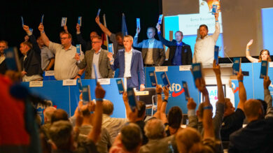 „Ihr entmachtet Euch“: Nach leidenschaftlicher Debatte führt die AfD das Delegiertenprinzip ein
