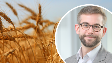Müssen wir die Welt ernähren – oder das Klima retten?