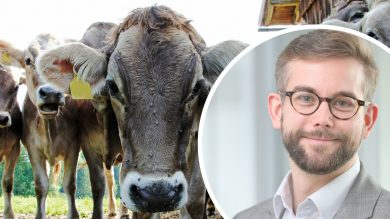 Der tiergerechte Umbau braucht ein Konzept und keine Flickschusterei