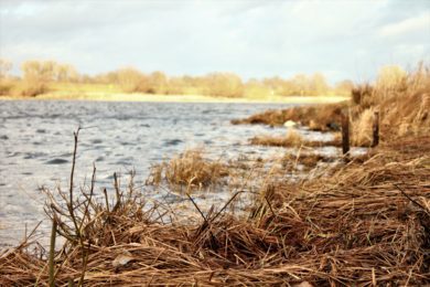 Elbvertiefung: Will Hamburg ein guter Nachbar sein?