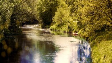 Dossier: Wasser klug und nachhaltig nutzen