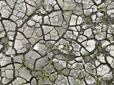 LBEG untersucht Grundwasserneubildung und entdeckt „beunruhigenden Trend“