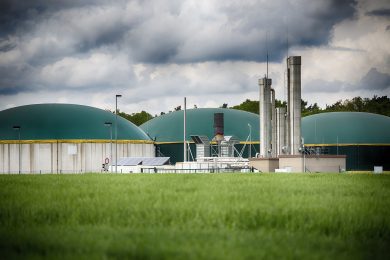 Branchenverband lobt Niedersachsens Bundesratsinitiative für mehr Biogas-Nutzung