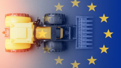 Wie Europa die Agrarförderung künftig neu ausrichten könnte