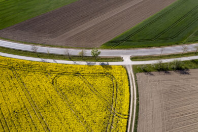 Bauernland in Bauernhand? Da wird eine Sparkasse ausgesprochen kreativ