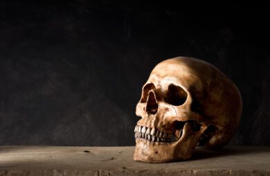 Wie in Niedersachsens Sammlungen nach menschlichen Überresten gesucht wird