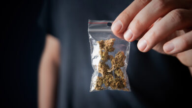 Cannabis im Bundesrat: Niedersachsen entscheidet kurzfristig