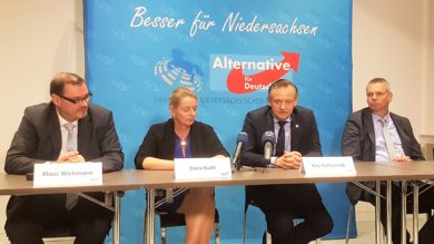 AfD-Vizechef: Wir dulden keine rechtsextremen Umtriebe