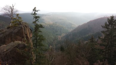 Doch keine neue Suche nach Silber im Harz?