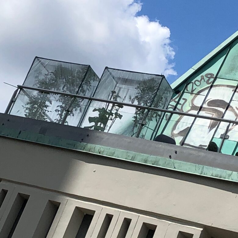 Auf der Dachterrasse der Gerhard-Uhlhorn-Kirche in Hannover wachsen Tomaten. Das Gotteshaus wurde zum Studentenwohnheim. | Foto: Beelte-Altwig