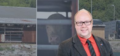 Domeier kritisiert Klöckners Tiertransport-Pläne