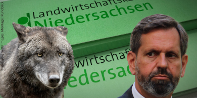 Nutztierrisse: Lies entzieht Wolfsberatern die Zuständigkeit