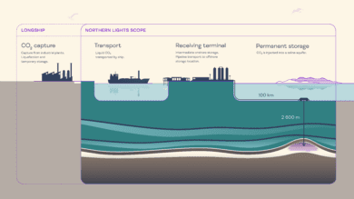 Umweltverbände warnen vehement vor einer CO2-Speicherung – etwa in der Nordsee