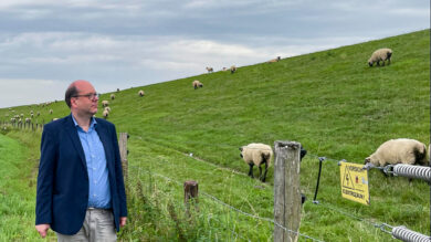 Wie Umweltminister Meyer sein Modell der Wolfspolitik voranbringen will
