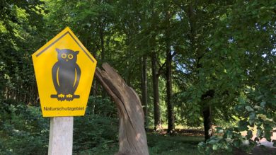 OVG zweifelt: Sind alle Natura-2000-Gebiete korrekt ausgewiesen?