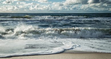 Aal-Taxi in die Nordsee