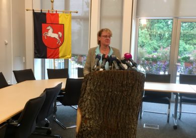 Wie die Forstministerin versucht, dem Wald neues Leben einzuhauchen