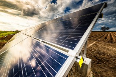 Agrarministerin Staudte will Solaranlagen vorrangig auf schlechten Böden errichten