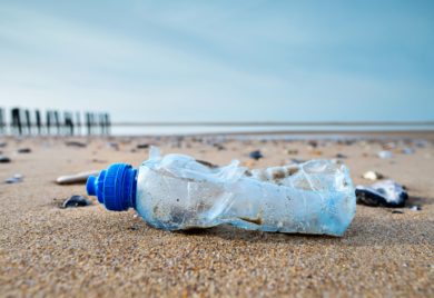 Die Abkehr vom Plastikmüll geht wirklich jeden etwas an