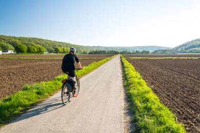 Wahlkampf macht es möglich: Ein Radweg wird zum Zankapfel