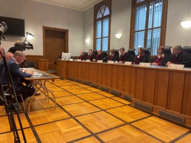 Warum die Rüge gegen die Vorgänge bei der AfD-Listenaufstellung folgenlos bleibt