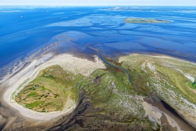 Schlick-Verklappung: WWF-Rechtsexpertin zieht Klage gegen Hamburg in Erwägung