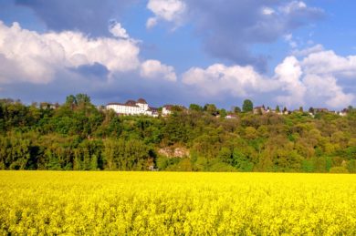 Porzellan aus Fürstenberg: Bald soll nun das Land Niedersachsen direkt die Regie führen