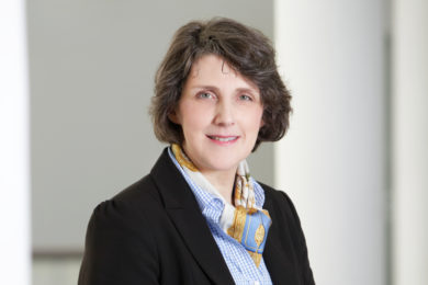 Niedersachsens Landtag löst sich auf – mit einer Gegenstimme