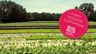 Wie geht es weiter mit den EU-Milliarden für die Landwirtschaft?