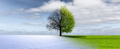 Neue Studie: Winter werden milder, Sommer wärmer und trockener