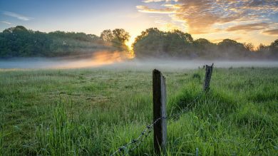 Die Woche in Niedersachsen (KW 13)