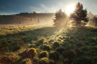 Die Woche in Niedersachsen (KW 6)