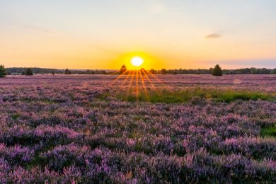 Die Woche in Niedersachsen (KW 17)