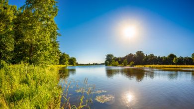 Die Woche in Niedersachsen (KW 35)