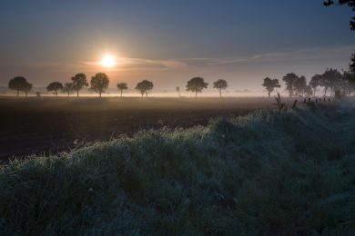 Die Woche in Niedersachsen (KW 16)