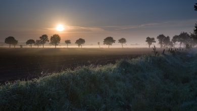 Die Woche in Niedersachsen (KW 03)