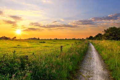 Die Woche in Niedersachsen (KW 25)